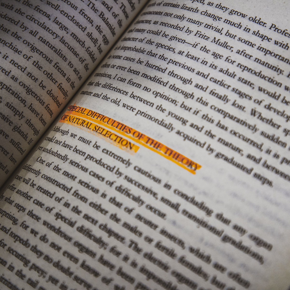 Highlighted phrase 'Special Difficulties of the Theory of Natural Selection' in an academic book